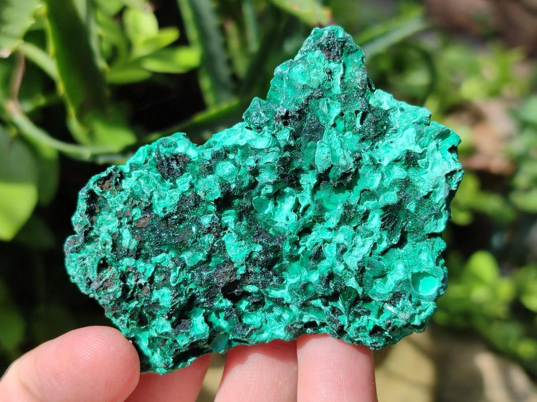 Natural Silky Malachite Specimens x 12 From Kasompe, Congo