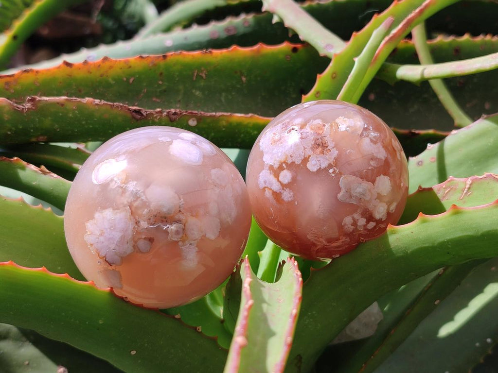 Polished Mixed Flower Agate Spheres and Standing Free Forms x 6 From Antsahalova, Madagascar