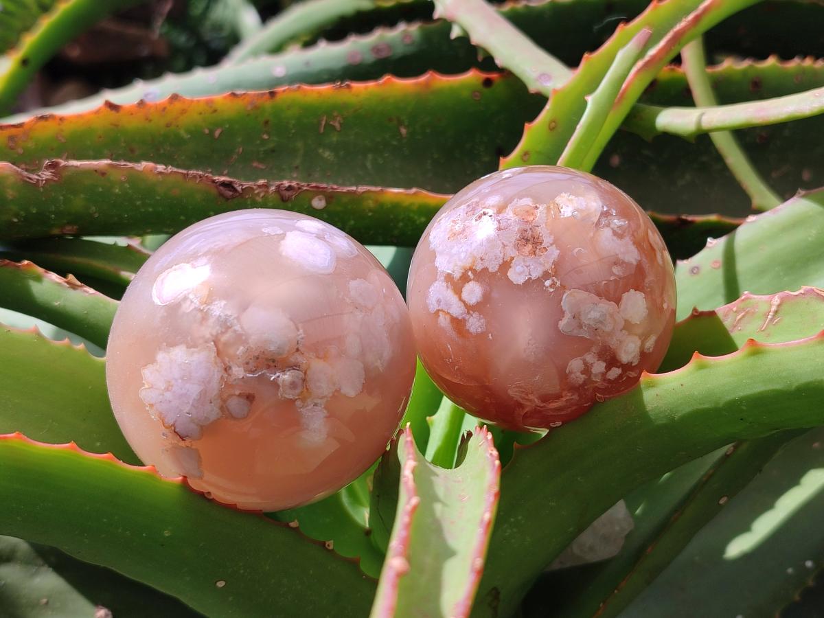 Polished Mixed Flower Agate Spheres and Standing Free Forms x 6 From Antsahalova, Madagascar