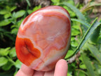 Polished Carnelian Agate Gemstone Standing Free Forms x 4 From Madagascar