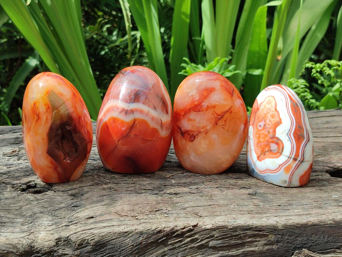 Polished Carnelian Agate Gemstone Standing Free Forms x 4 From Madagascar