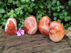 Polished Carnelian Agate Gemstone Standing Free Forms x 4 From Madagascar