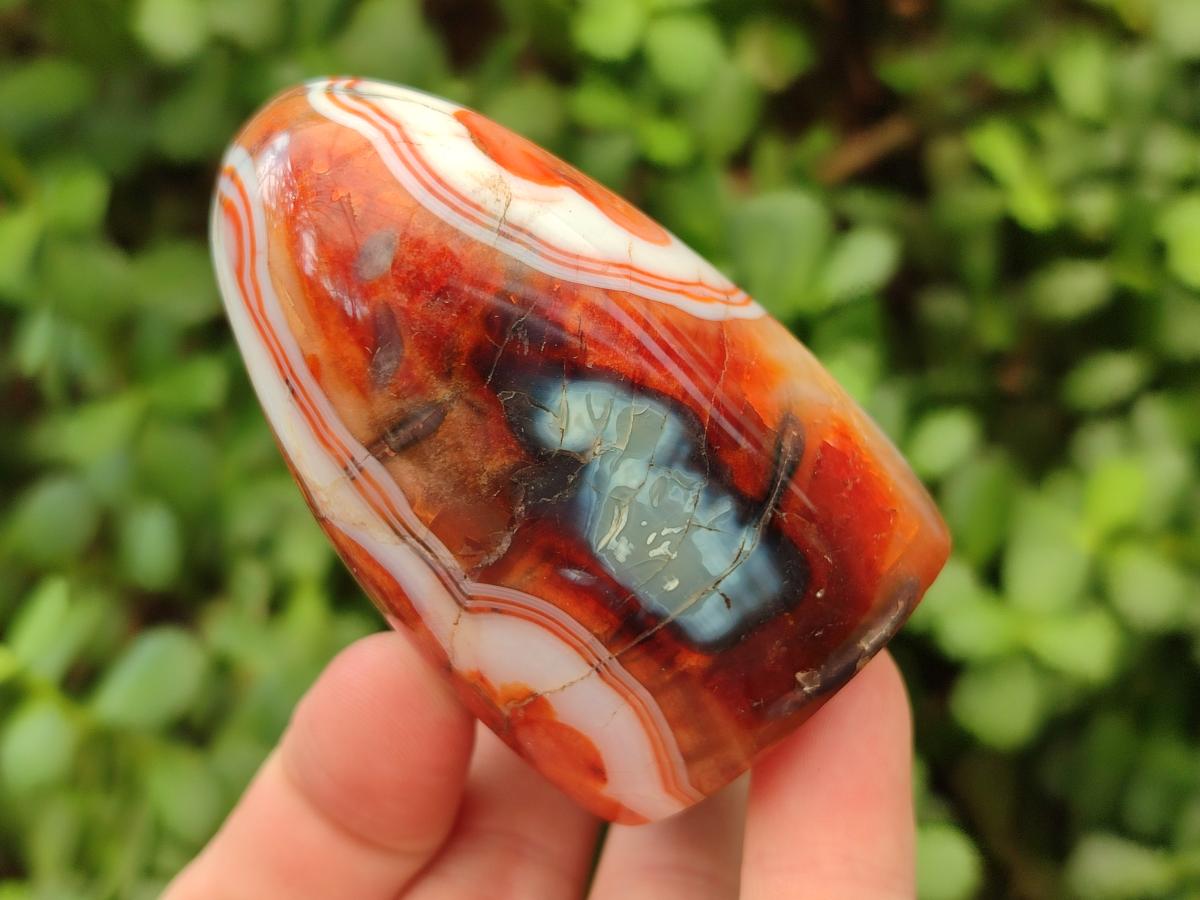 Polished Carnelian Agate Gemstone Standing Free Forms x 4 From Madagascar
