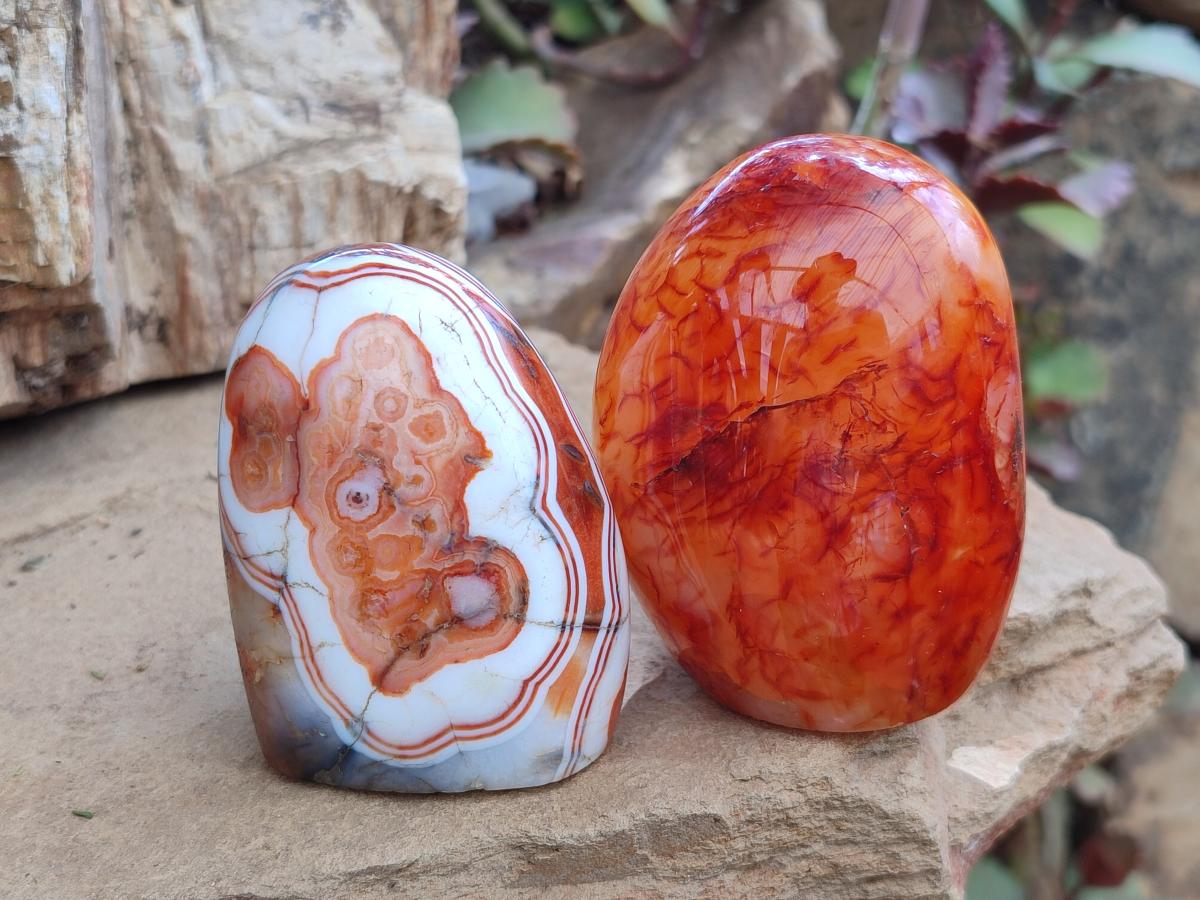 Polished Carnelian Agate Gemstone Standing Free Forms x 4 From Madagascar