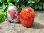 Polished Carnelian Agate Gemstone Standing Free Forms x 4 From Madagascar