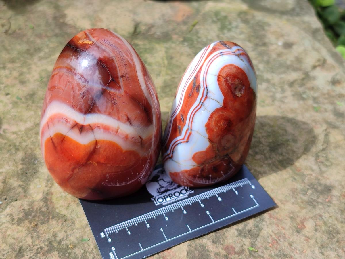 Polished Carnelian Agate Gemstone Standing Free Forms x 4 From Madagascar