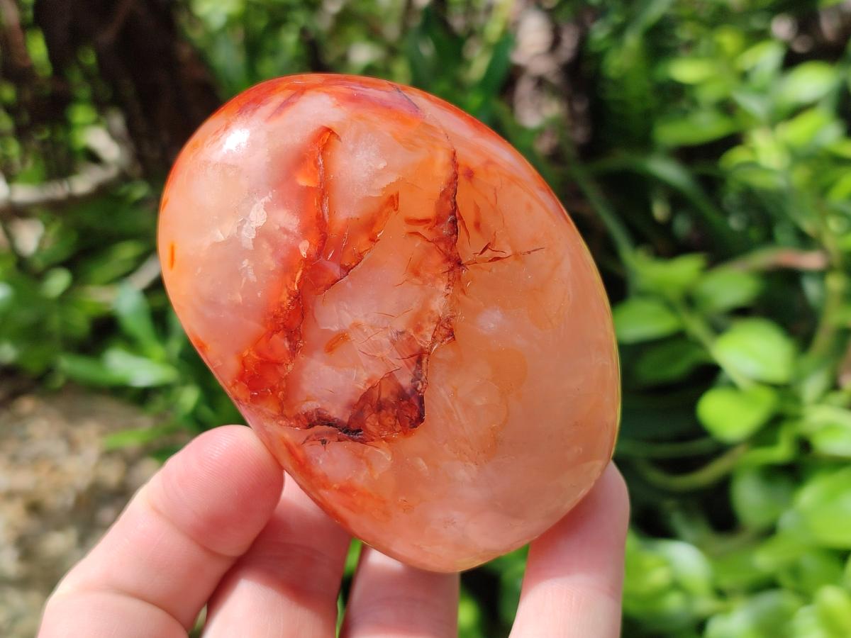Polished Carnelian Agate Gemstone Standing Free Forms x 4 From Madagascar