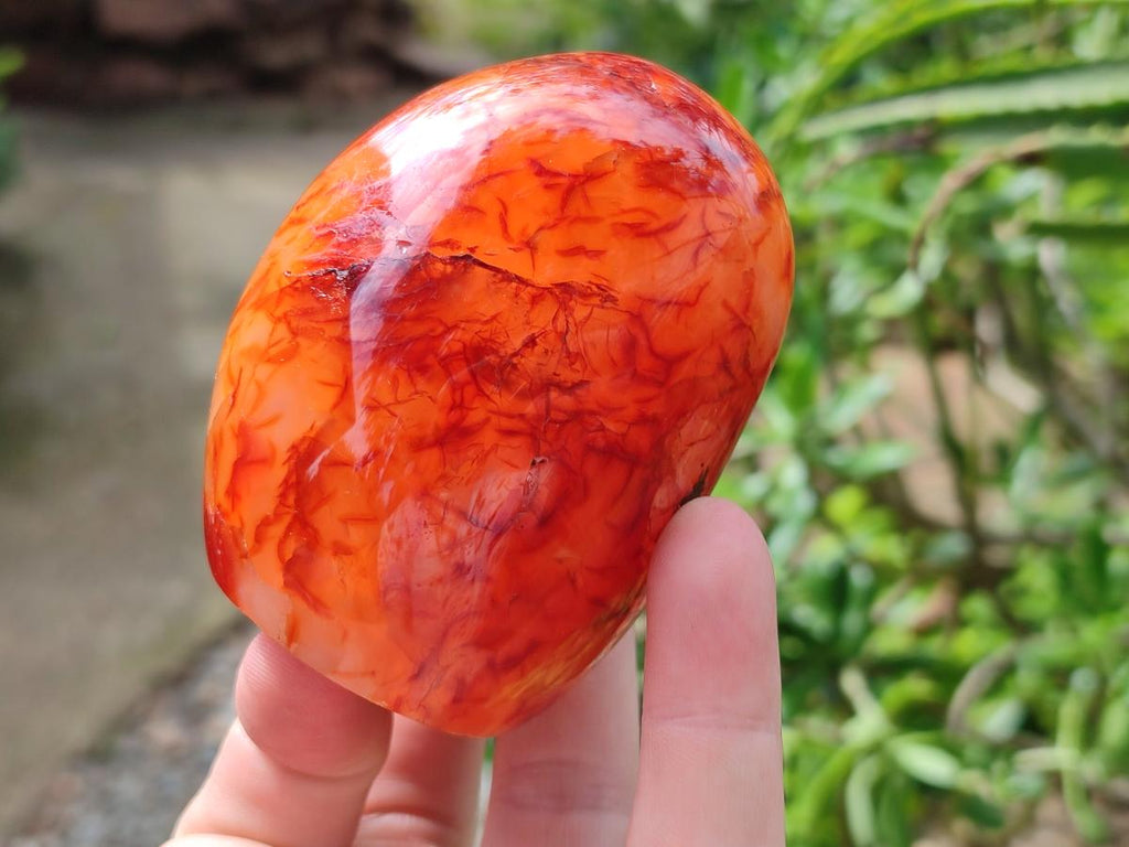 Polished Carnelian Agate Gemstone Standing Free Forms x 4 From Madagascar