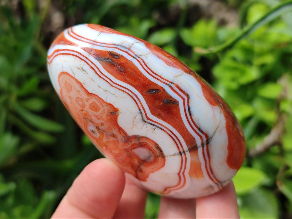 Polished Carnelian Agate Gemstone Standing Free Forms x 4 From Madagascar