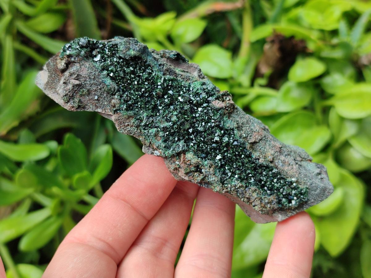 Natural Libethenite Crystals on Dolomite Matrix Specimens x 4 From Shituru, Congo