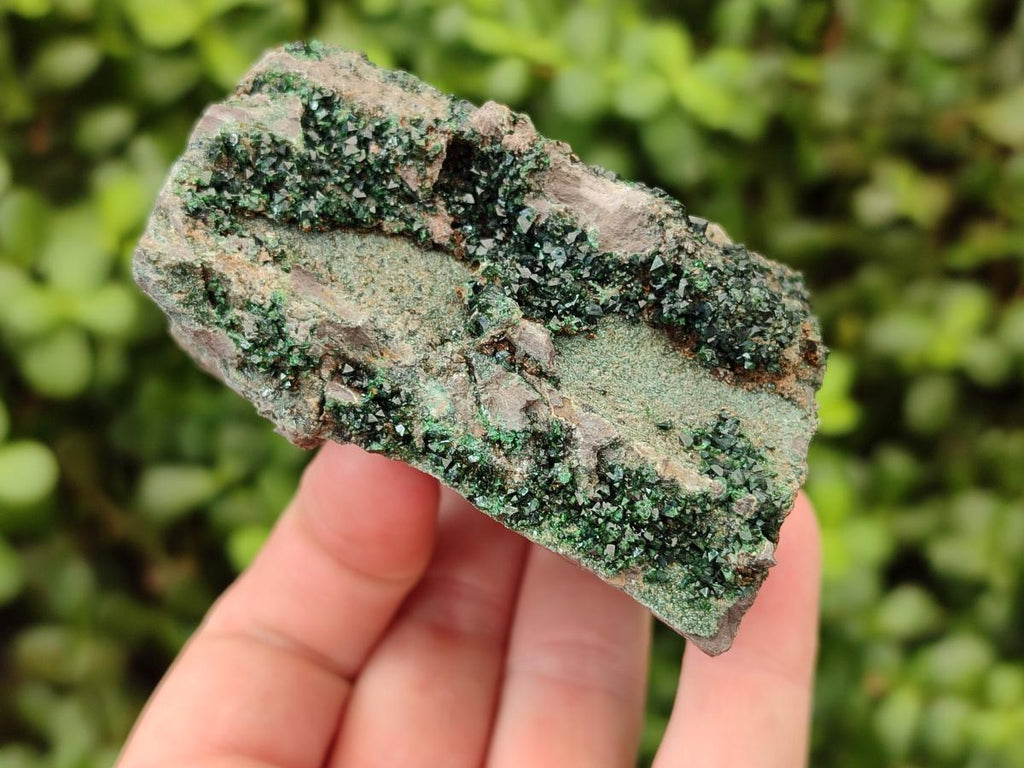 Natural Libethenite Crystals on Dolomite Matrix Specimens x 4 From Shituru, Congo