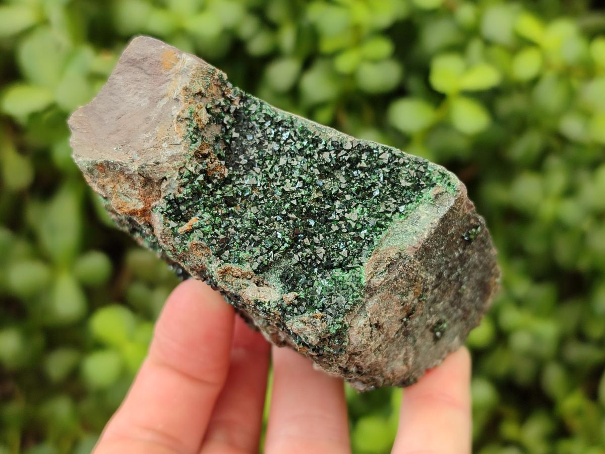 Natural Libethenite Crystals on Dolomite Matrix Specimens x 4 From Shituru, Congo