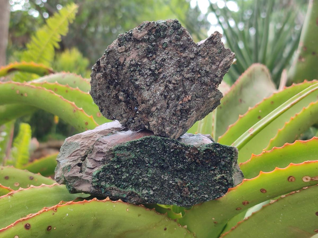 Natural Libethenite Crystals on Dolomite Matrix Specimens x 4 From Shituru, Congo