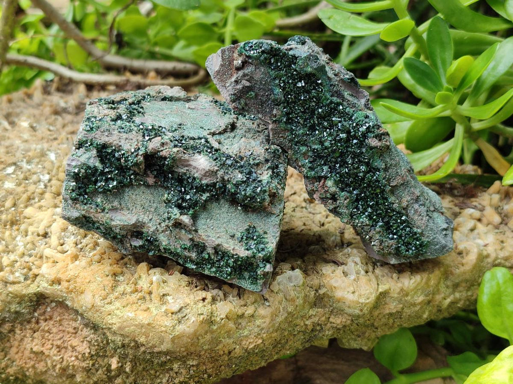 Natural Libethenite Crystals on Dolomite Matrix Specimens x 4 From Shituru, Congo