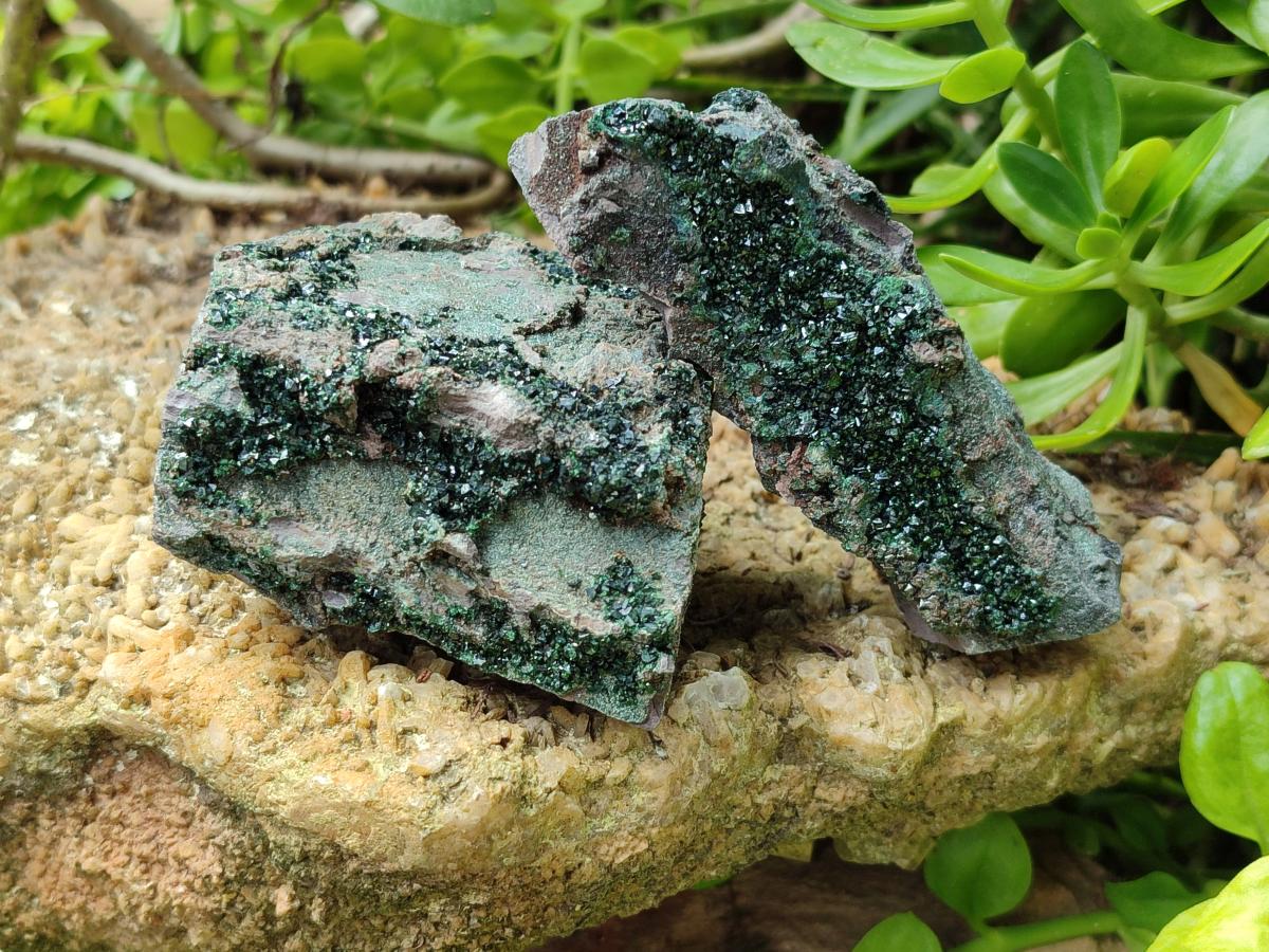 Natural Libethenite Crystals on Dolomite Matrix Specimens x 4 From Shituru, Congo