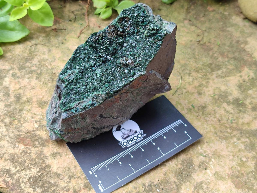 Natural Libethenite Crystals on Dolomite Matrix Specimens x 4 From Shituru, Congo