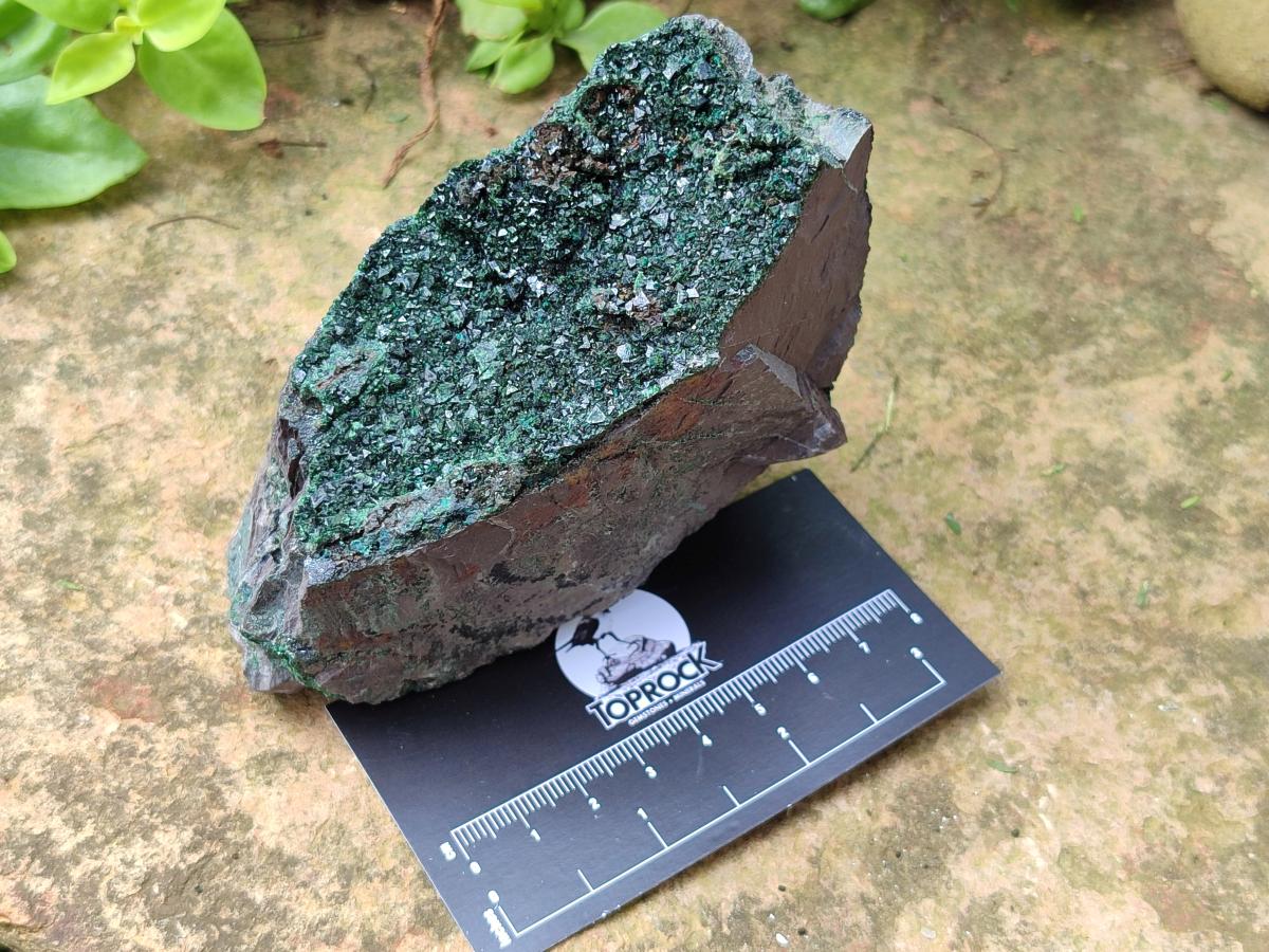 Natural Libethenite Crystals on Dolomite Matrix Specimens x 4 From Shituru, Congo