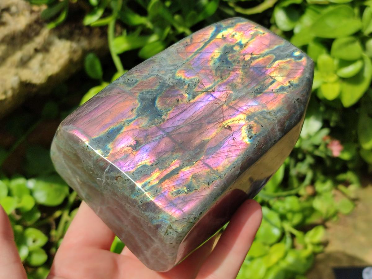 Polished Rare Purple Sunset Flash Labradorite Standing Free Form x 1 From Madagascar