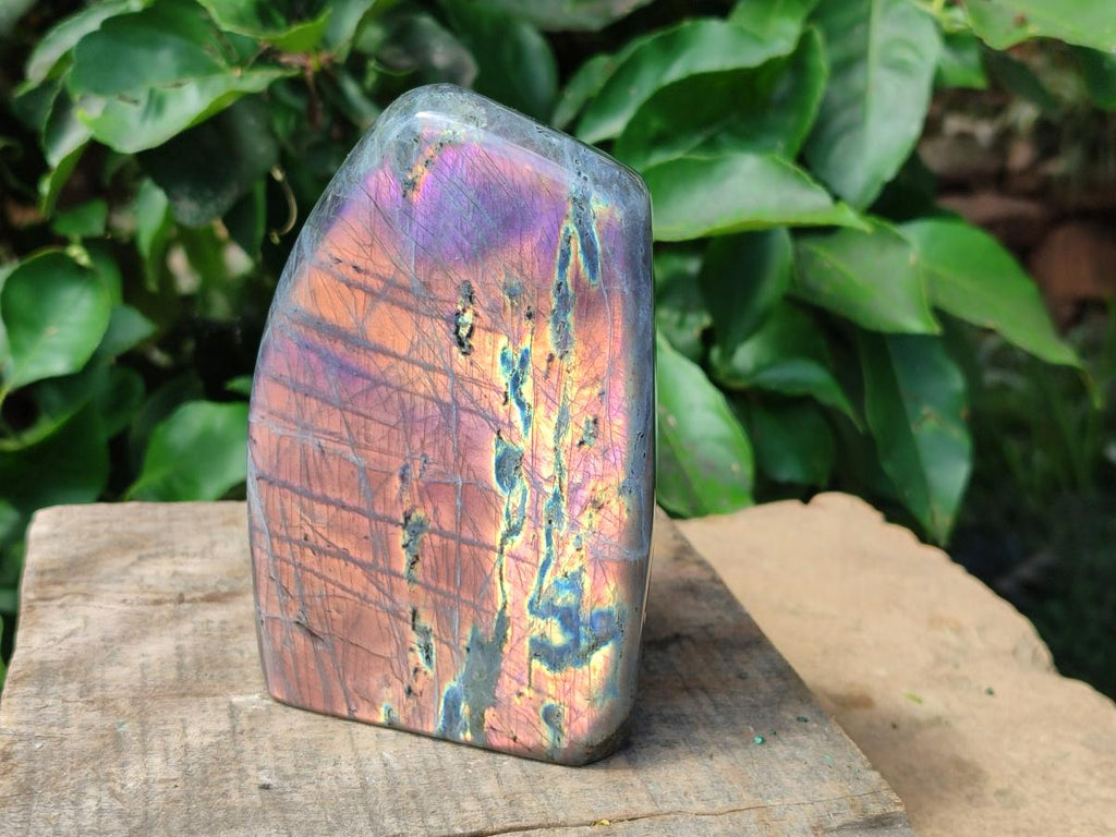 Polished Rare Purple Sunset Flash Labradorite Standing Free Form x 1 From Madagascar