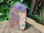 Polished Rare Purple Sunset Flash Labradorite Standing Free Form x 1 From Madagascar