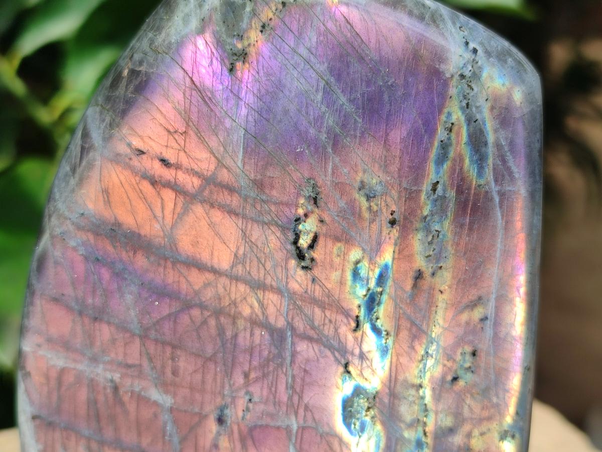 Polished Rare Purple Sunset Flash Labradorite Standing Free Form x 1 From Madagascar