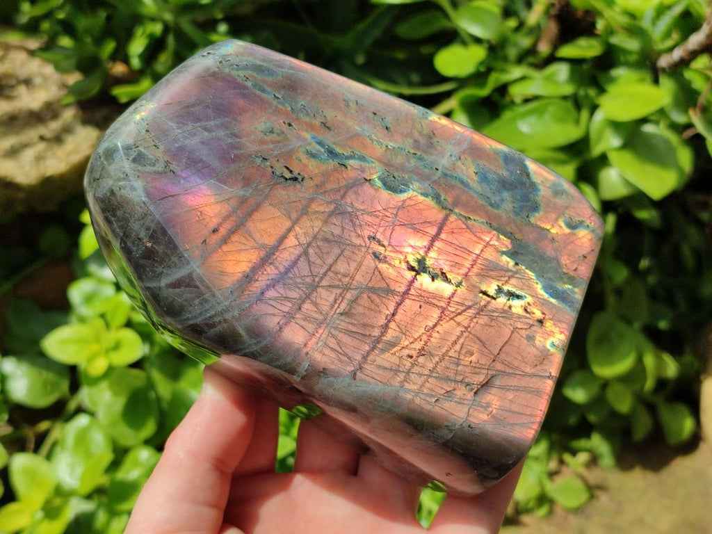 Polished Rare Purple Sunset Flash Labradorite Standing Free Form x 1 From Madagascar
