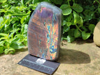 Polished Rare Purple Sunset Flash Labradorite Standing Free Form x 1 From Madagascar
