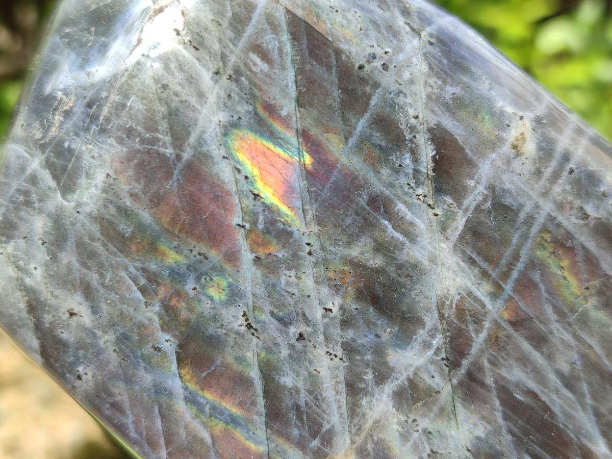 Polished Rare Purple Sunset Flash Labradorite Standing Free Form x 1 From Madagascar