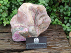 Polished XXL Cobaltion Dolomite Free Form x 1 From Kakanda, Congo