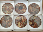 Hand Made Ammonite Conglomerate Coffee Table Coasters x 6 From Mahajanga, Madagascar
