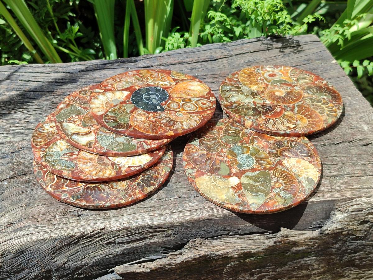 Hand Made Ammonite Conglomerate Coffee Table Coasters x 6 From Mahajanga, Madagascar