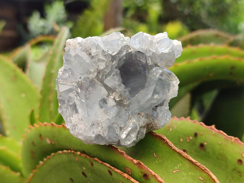 Natural Blue Celestite Specimens x 25 From Sakoany, Madagascar