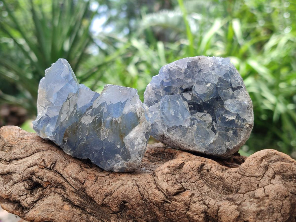 Natural Blue Celestite Specimens x 25 From Sakoany, Madagascar