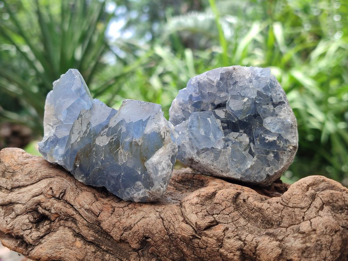 Natural Blue Celestite Specimens x 25 From Sakoany, Madagascar