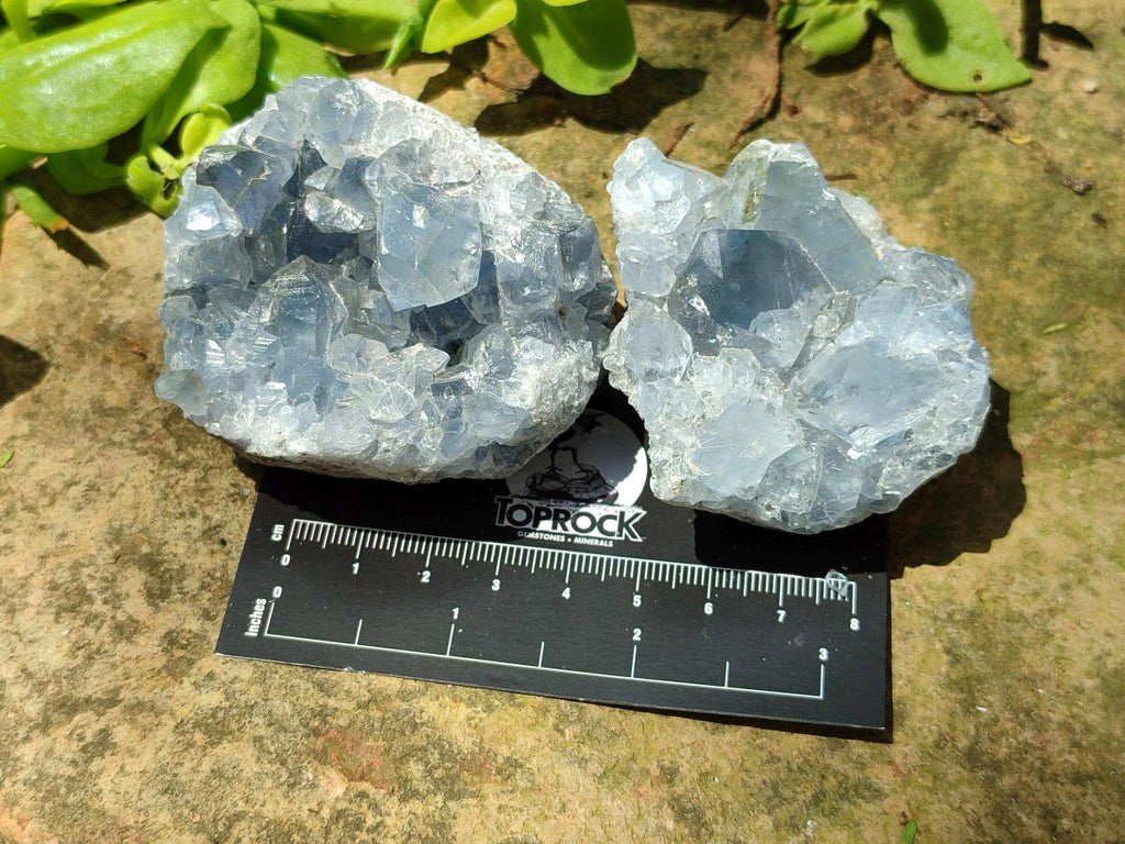 Natural Blue Celestite Specimens x 25 From Sakoany, Madagascar