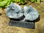 Natural Blue Celestite Specimens x 25 From Sakoany, Madagascar