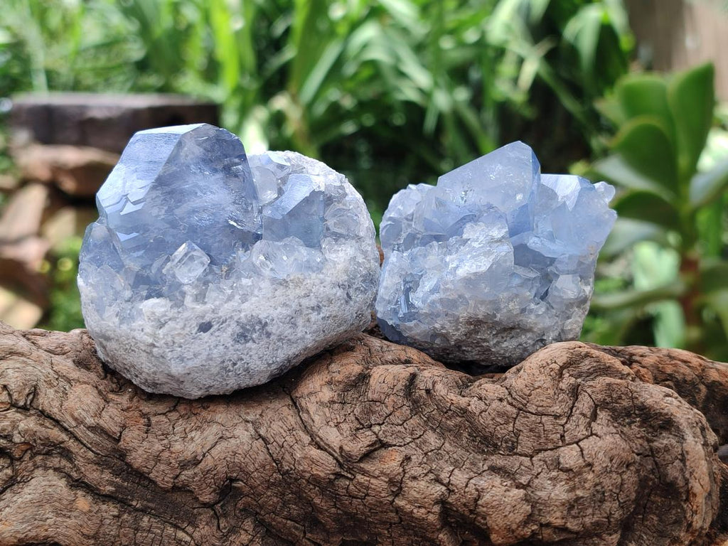 Natural Blue Celestite Specimens x 25 From Sakoany, Madagascar