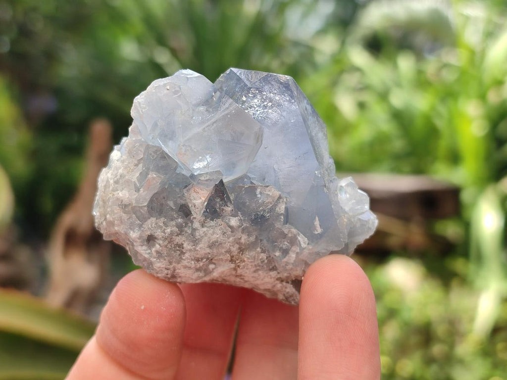 Natural Blue Celestite Specimens x 25 From Sakoany, Madagascar