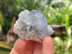 Natural Blue Celestite Specimens x 25 From Sakoany, Madagascar