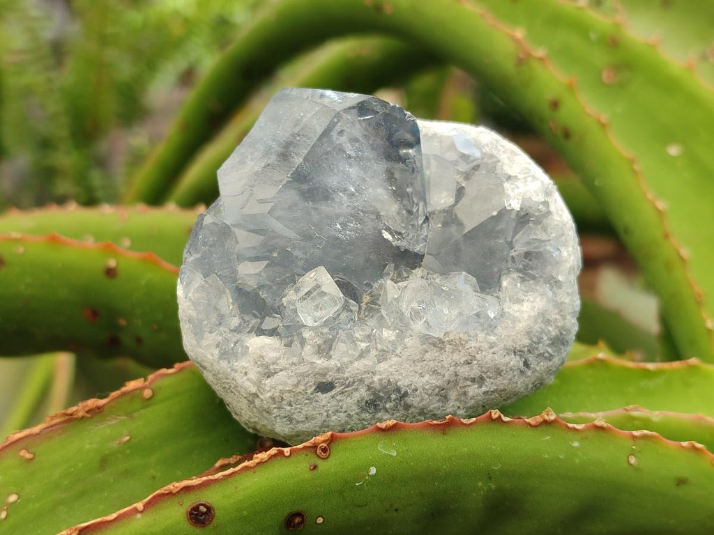 Natural Blue Celestite Specimens x 25 From Sakoany, Madagascar