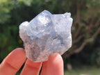 Natural Blue Celestite Specimens x 25 From Sakoany, Madagascar