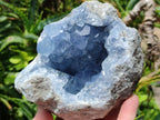 Natural Blue Celestite Specimens x 2 From Sakoany, Madagascar