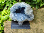 Natural Blue Celestite Specimens x 2 From Sakoany, Madagascar