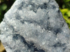 Natural Blue Celestite Specimens x 2 From Sakoany, Madagascar