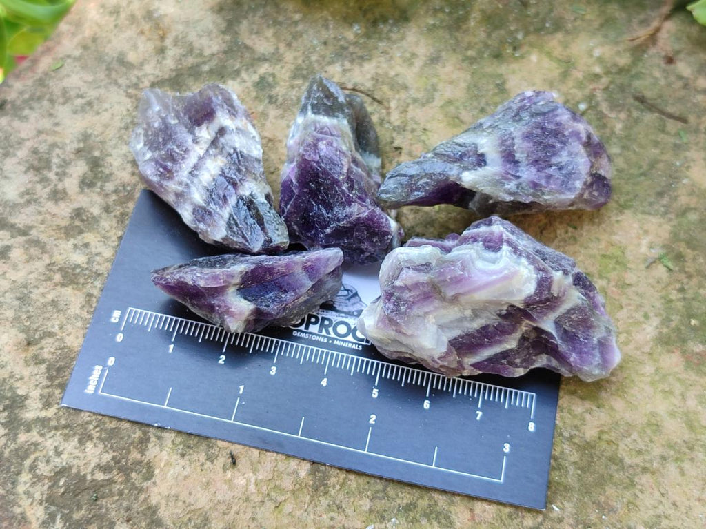 Natural Chevron Amethyst Dogtooth Crystals x 3kg Lot From Zambia