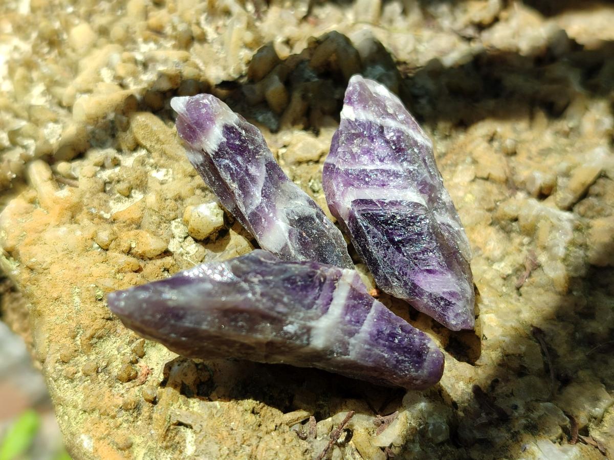 Natural Chevron Amethyst Dogtooth Crystals x 3kg Lot From Zambia
