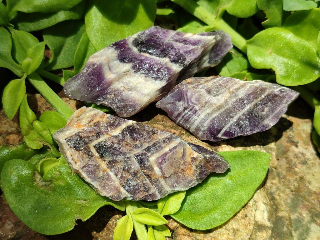 Natural Chevron Amethyst Dogtooth Crystals x 3kg Lot From Zambia
