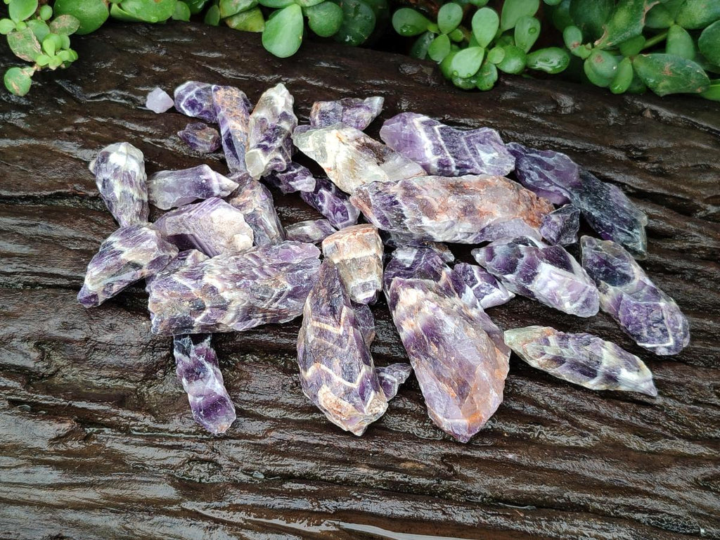 Natural Chevron Amethyst Dogtooth Crystals x 3kg Lot From Zambia