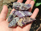 Natural Chevron Amethyst Dogtooth Crystals x 3kg Lot From Zambia