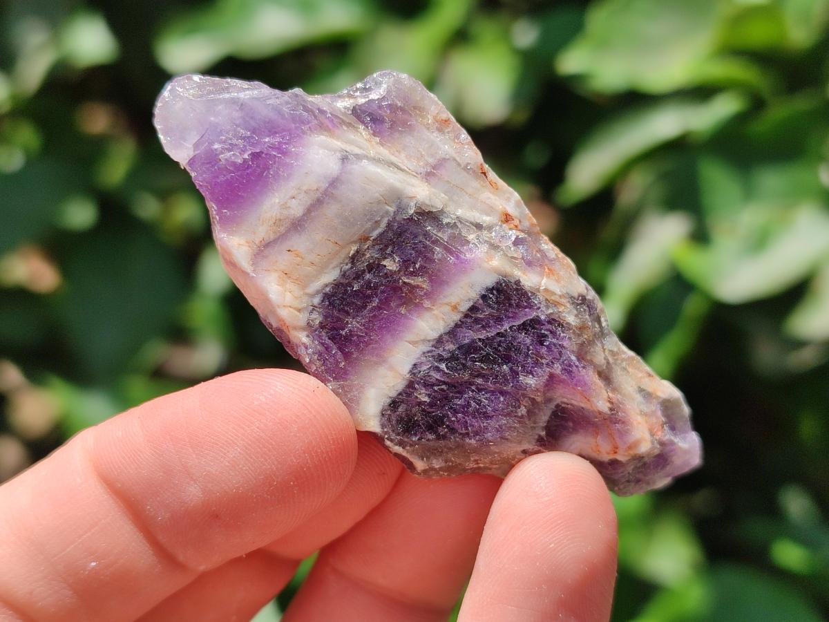 Natural Chevron Amethyst Dogtooth Crystals x 3kg Lot From Zambia